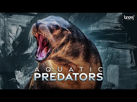 Boom Aquatic Predators